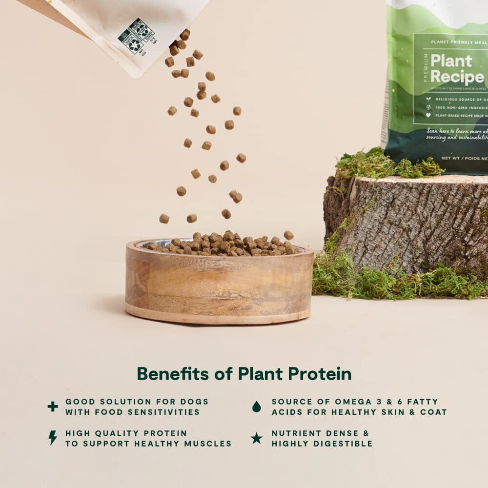 Open Farm Kind Earth Premium Plant Based with Superfoods Recipe Dry Dog Food - 20 Lbs  