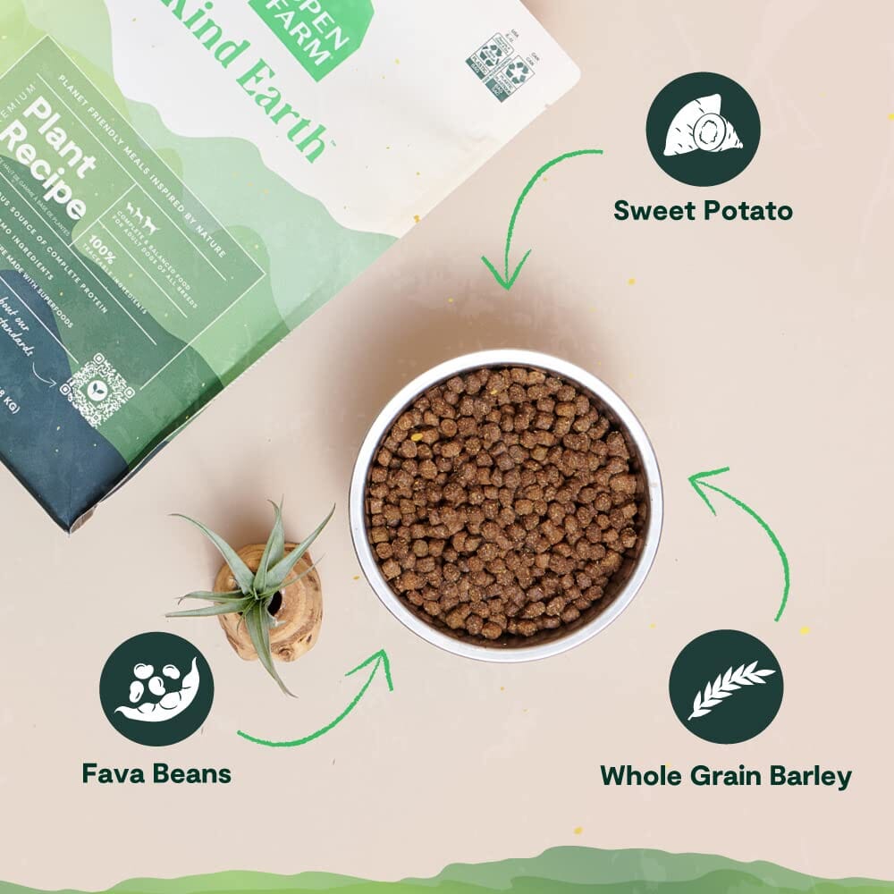 Open Farm Kind Earth Premium Plant Based with Superfoods Recipe Dry Dog Food - 20 Lbs  