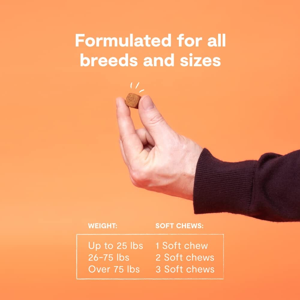 Open Farm Probiotic Health Chews Dog Supplements - 90 Count  
