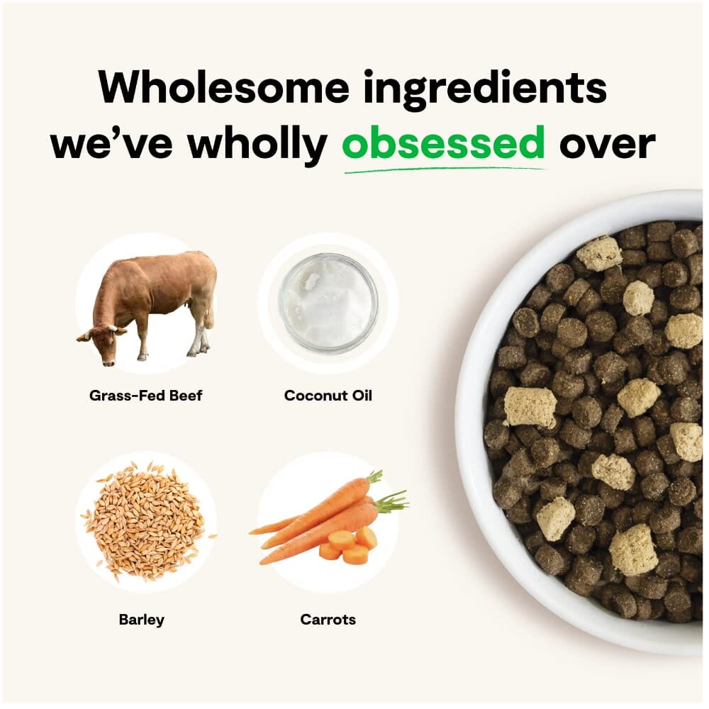 Open Farm RawMix Front Range Recipe Pork Beef and Lamb with Ancient Grains Dry Dog Food - 20 Lbs  