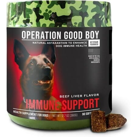 Operation Good Boy Natural Immune Support Beef Liver Soft Chew Dog Supplements - 90 Count Default Title