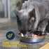 OurPets Durapet Anti-Skid Rubber Bonded Stainless Steel Cat Bowl - Small - 6 Oz  