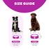 Outward Hound Anti-Skid Fun Feeder Slow Feeding Dog Bowl - Purple Flower - Large  
