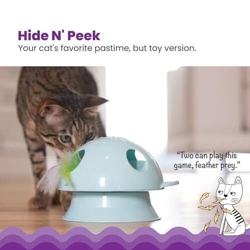 Outward Hound Catstages 2-In-1 Dart N' Dash Electronic Feather Teasing Interactive Cat Toy
