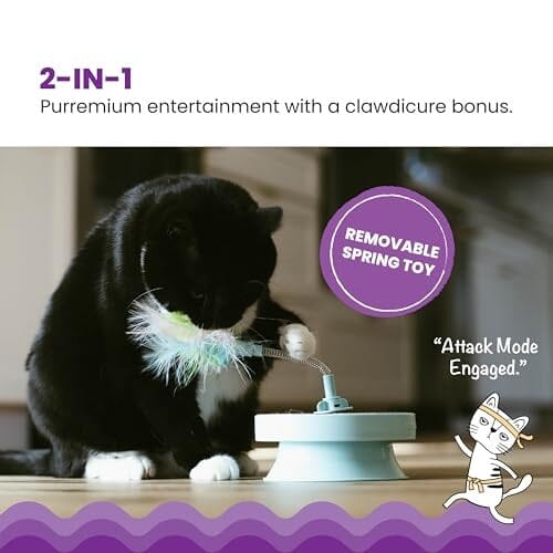 Outward Hound Catstages 2-In-1 Spring and Scratcher Stand-alone Nail-Grooming Interactive Cat Toy
