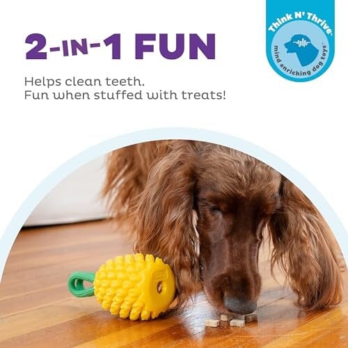 Outward Hound Dental Pineapple Scented Treat-Dispensing Fetch and Tug Dog Toy - Yellow