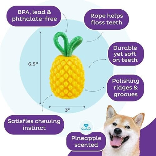 Outward Hound Dental Pineapple Scented Treat-Dispensing Fetch and Tug Dog Toy - Yellow
