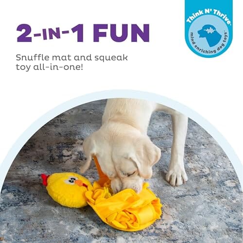 Outward Hound Nina Ottosson Snuffle Palz Chicken Treat-Hiding Squeak and Plush Nylon Dog Toy - Large