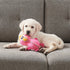 Outward Hound Xtreme Seamz Flamingo Squeak and Plush Reinforced Dog Toy  