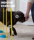 Outward Hound Zip and Zoom Multiple Indoor Agility Traiing Kit with Carrying Case - 9 Piece Set  