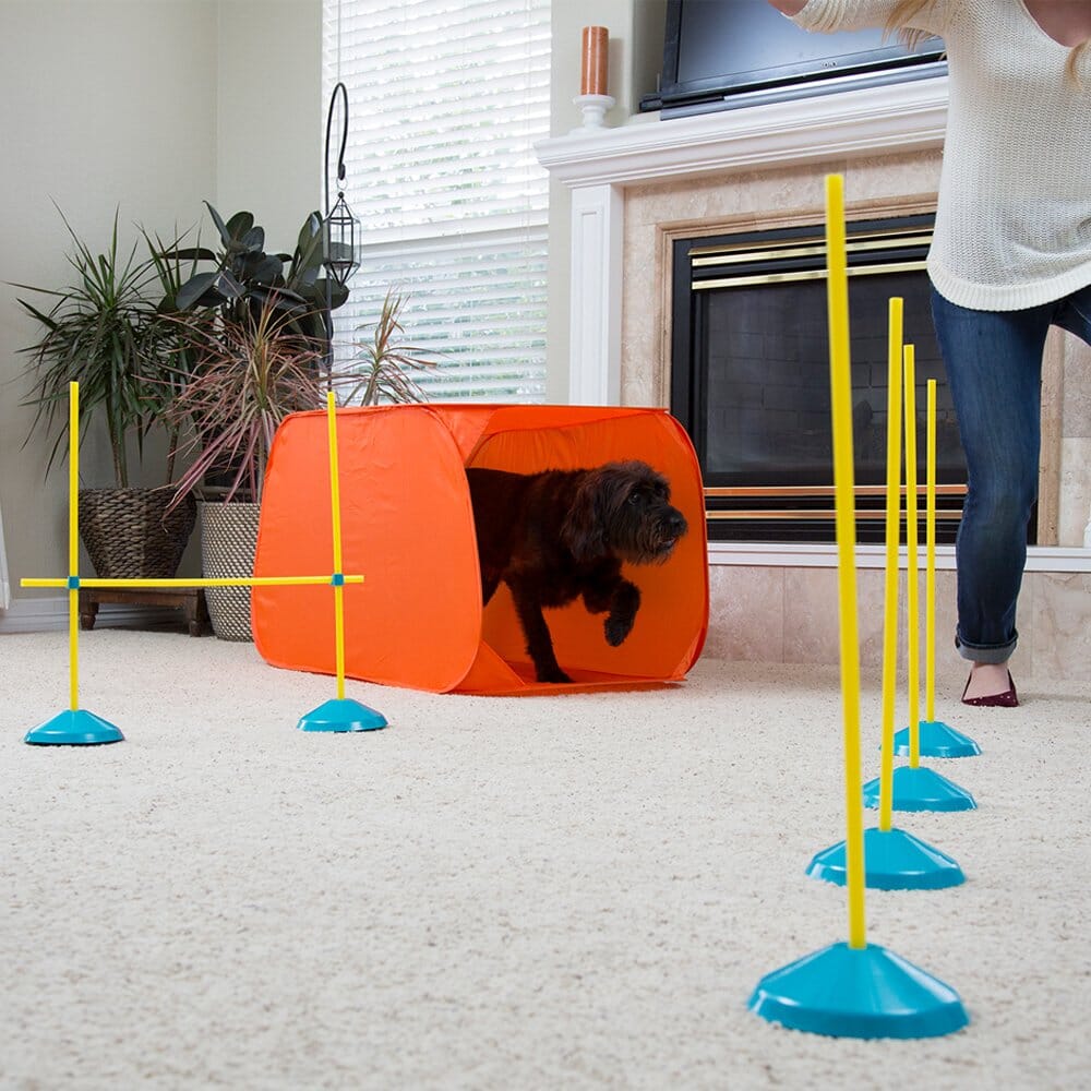 Outward Hound Zip and Zoom Multiple Indoor Agility Traiing Kit with Carrying Case - 9 Piece Set  