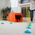 Outward Hound Zip and Zoom Multiple Indoor Agility Traiing Kit with Carrying Case - 9 Piece Set  