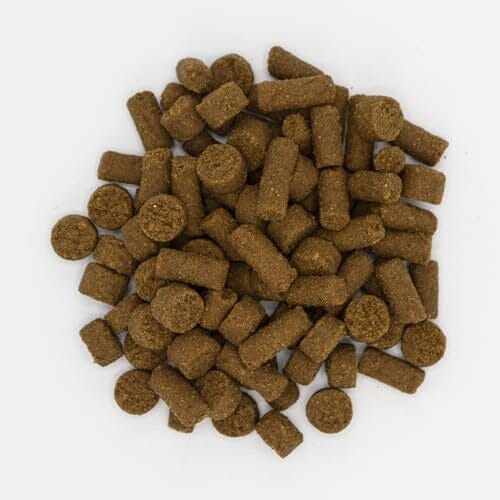 Oxbow Real Prey Rewards Turkey Recipe Ferret Formula Crunchy and Chewy Small Animal Treats - 3 Oz