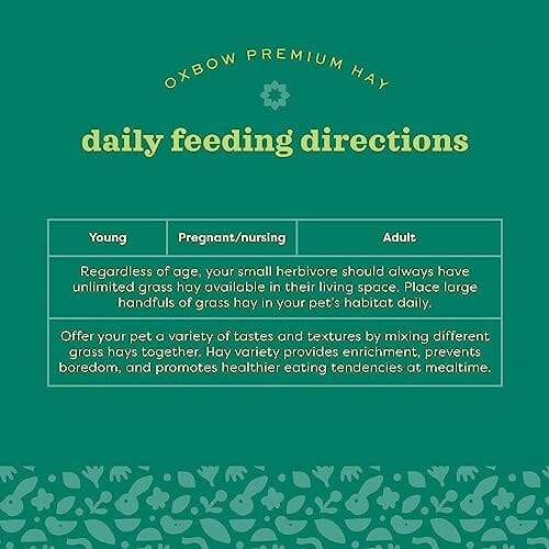 Oxbow Western Timothy and Orchard Hay Blends Guinea Pig and Rabbit Small Animal Treat - 15 Oz