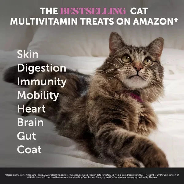 Pet Honesty Daily Multi-Vitamin with Lysine and Omega-3 Joint Skin and Digestion Chicken Flavor Supplemental Cat Treats
