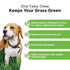 Pet Honesty Grass Green Urinary Spot Saver and Digestive Duck Chewy Dog Supplements - 90 Count - 9.5 Oz  