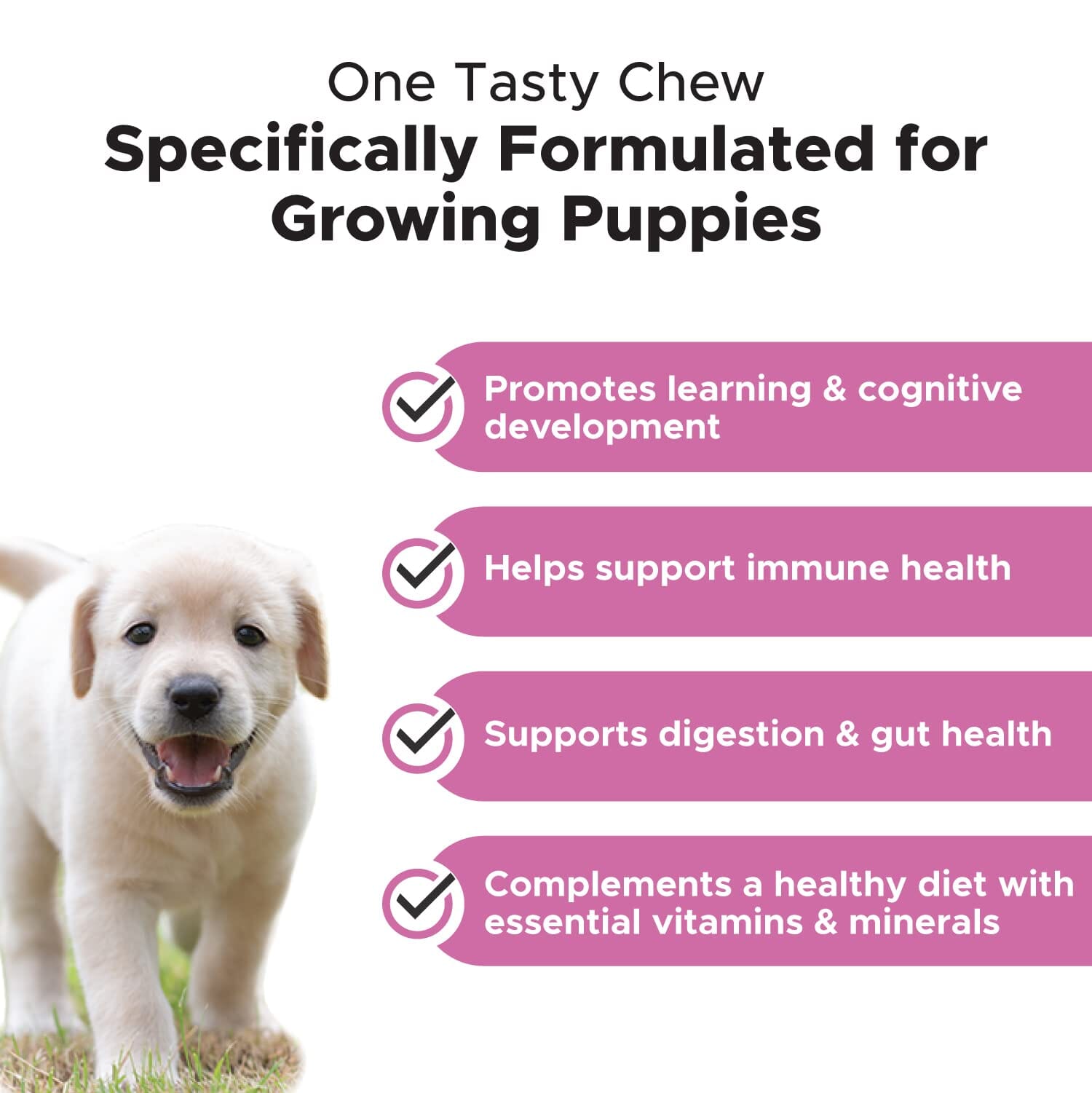 Pet Honesty Multi-Vitamin Essential Puppy Chewy Dog Supplements - 6.4 Oz - 90 Count  