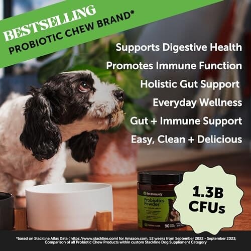 Pet Honesty Probiotics Powder Pumpkin Flavor Digestion and Immune Support Dog Supplement - 8 Oz - 90 Day Supply