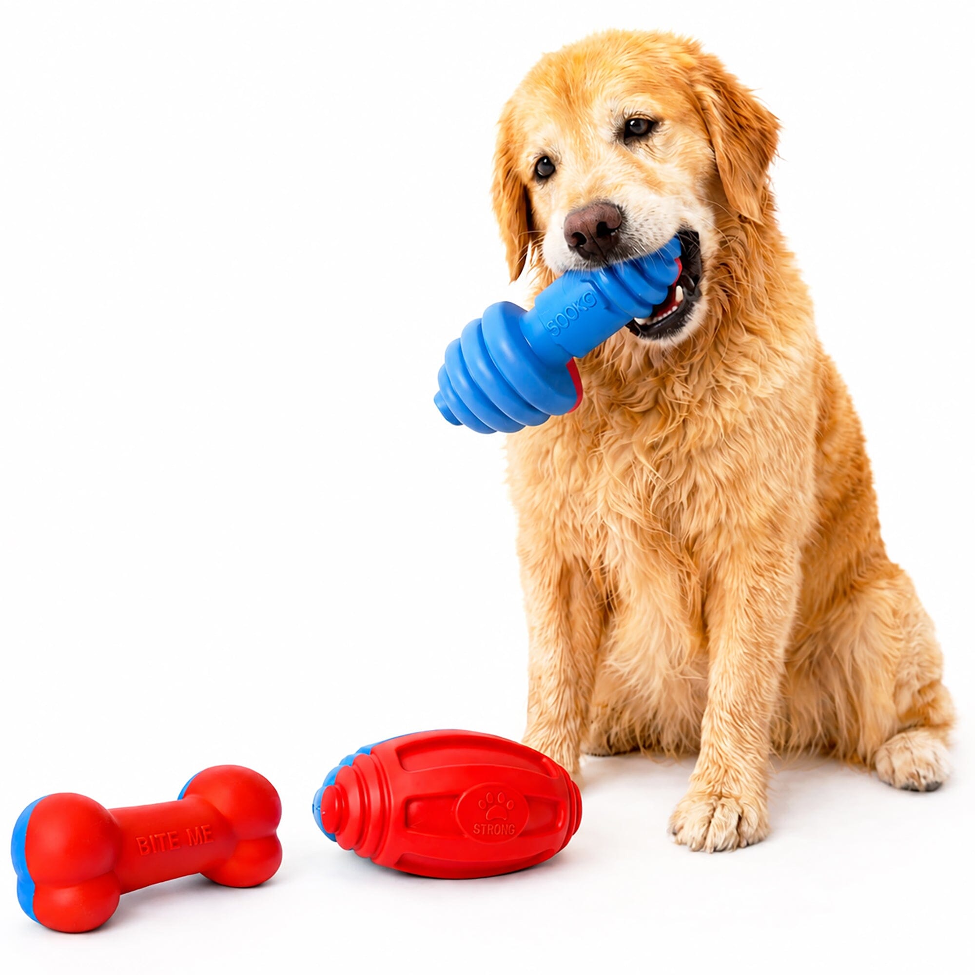 Pet Life ® 3-Piece Durable Water Floating and TPR Fetch Bundle Dog Toy Set