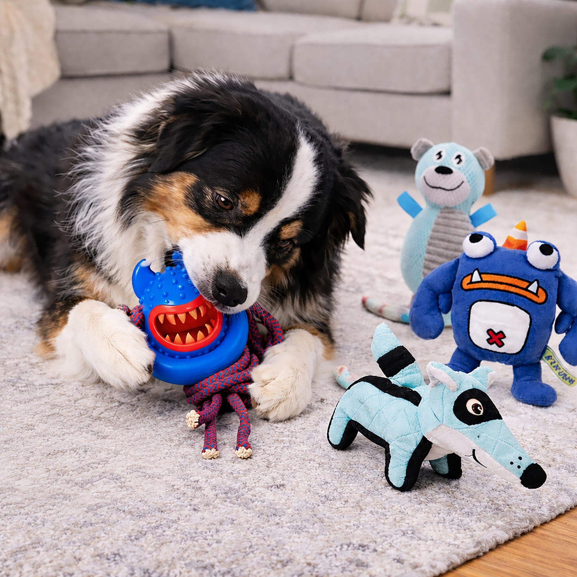 Pet Life ® 4-Piece Fetch Tug and Plush Squeaking Bundle Dog Toy Set - Blue