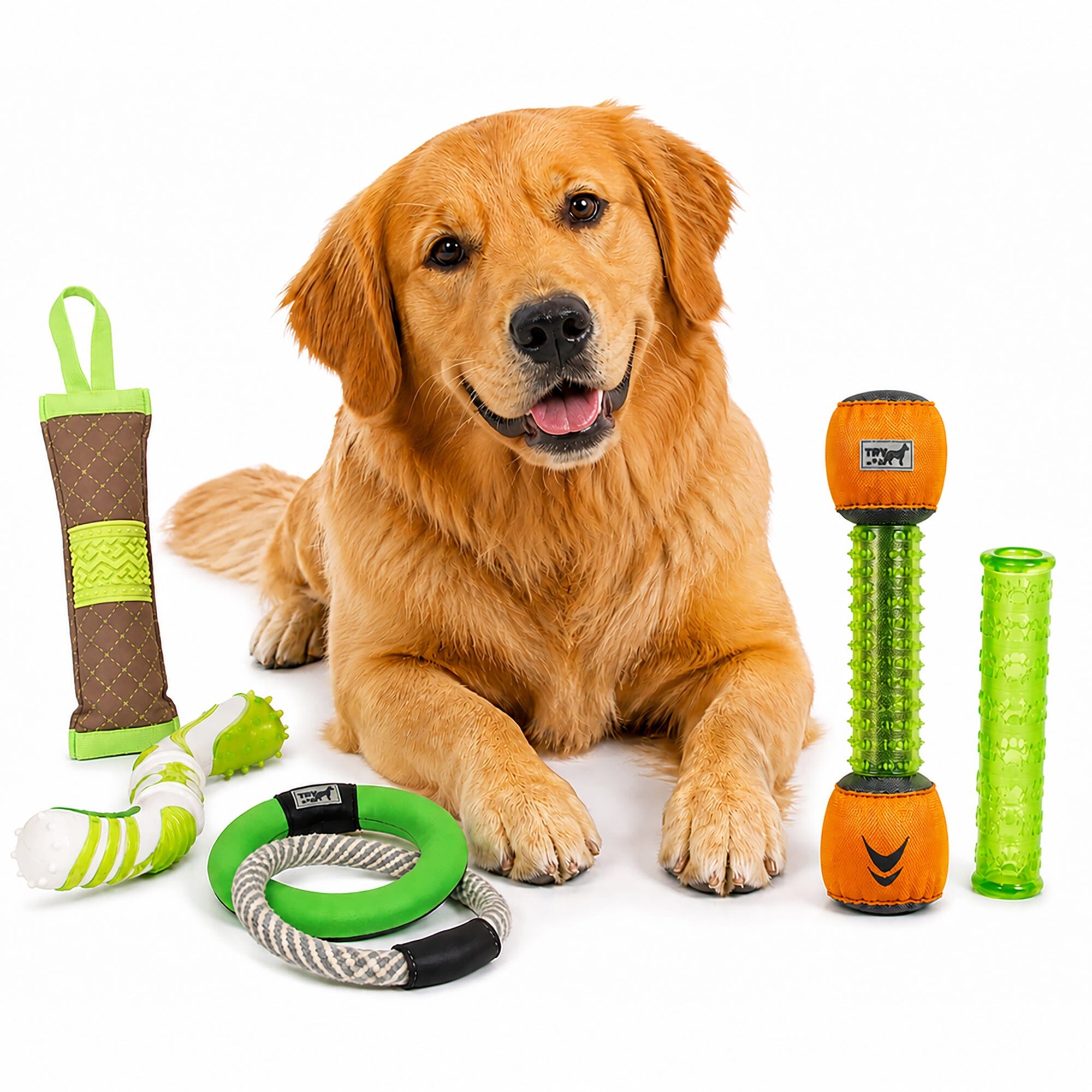 Pet Life ® 5-Piece Rugged Nylon and Rubber Plush Squeak Tug and Fetch Dog Toy Set - Green and Orange Default Title