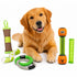 Pet Life ® 5-Piece Rugged Nylon and Rubber Plush Squeak Tug and Fetch Dog Toy Set - Green and Orange Default Title