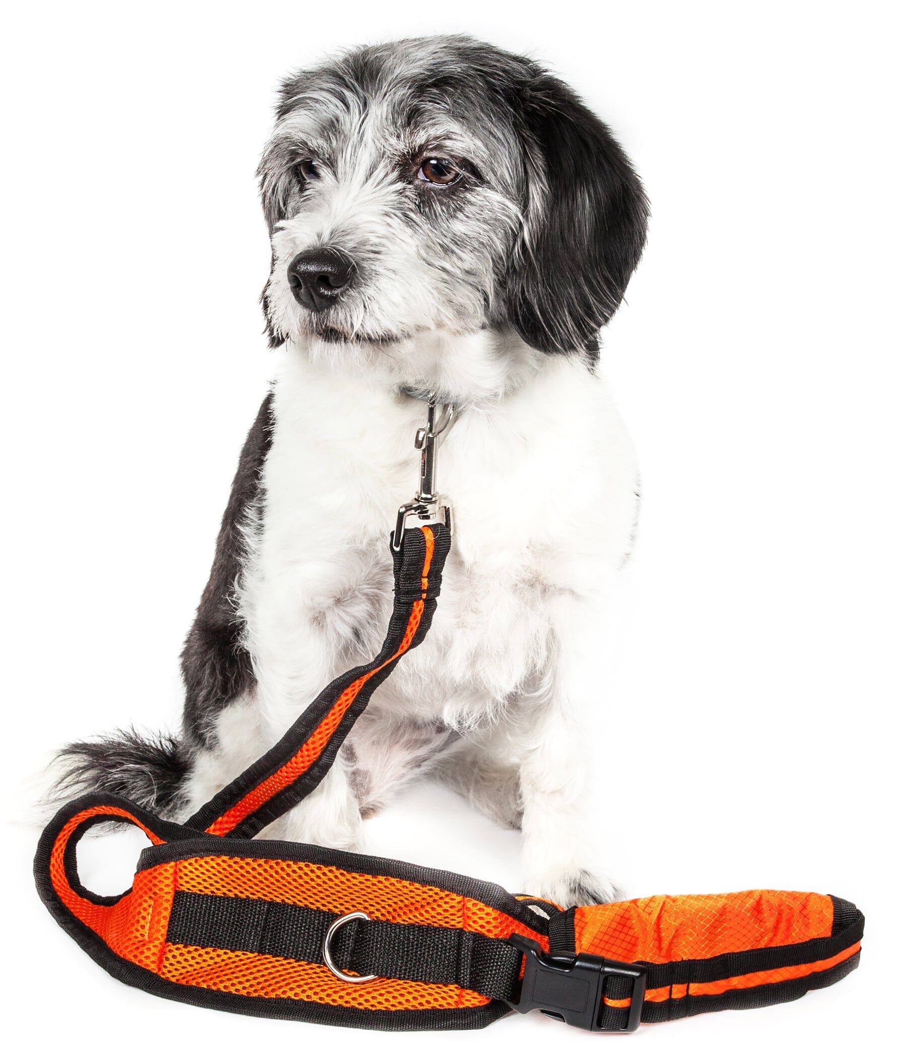 Pet Life ® Accordion and Hand's Free Belt-Clip Dog Leash - 2 Piece Set