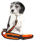 Pet Life ® Accordion and Hand's Free Belt-Clip Dog Leash - 2 Piece Set