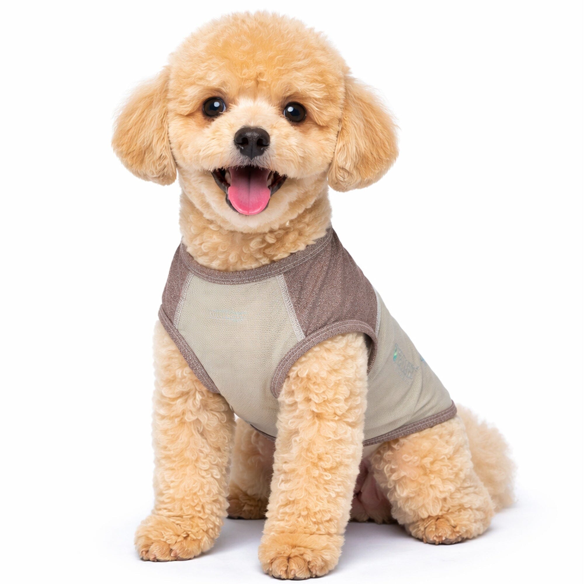 TSHL1TN