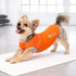 Pet Life ® Active 'Aero-Pawlse' Quick-Dry and 4-Way-Stretch Yoga Fitness Dog T-Shirt Tank Top