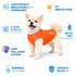 Pet Life ® Active 'Aero-Pawlse' Quick-Dry and 4-Way-Stretch Yoga Fitness Dog T-Shirt Tank Top