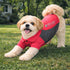 Pet Life ® Active 'Barko Pawlo' Relax-Stretch Quick-Drying Performance Dog Polo T-Shirt