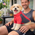 Pet Life ® Active 'Barko Pawlo' Relax-Stretch Quick-Drying Performance Dog Polo T-Shirt