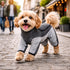 Pet Life ® Active 'Chase Pacer' Medium-weight 4-Way-Stretch Yoga Fitness Dog Tracksuit