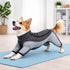Pet Life ® Active 'Chase Pacer' Medium-weight 4-Way-Stretch Yoga Fitness Dog Tracksuit