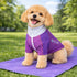 Pet Life ® Active 'Chewitt Wagassy' 4-Way-Stretch Yoga Fitness Long-Sleeve Dog T-Shirt