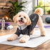 Pet Life ® Active 'Chewitt Wagassy' 4-Way-Stretch Yoga Fitness Long-Sleeve Dog T-Shirt