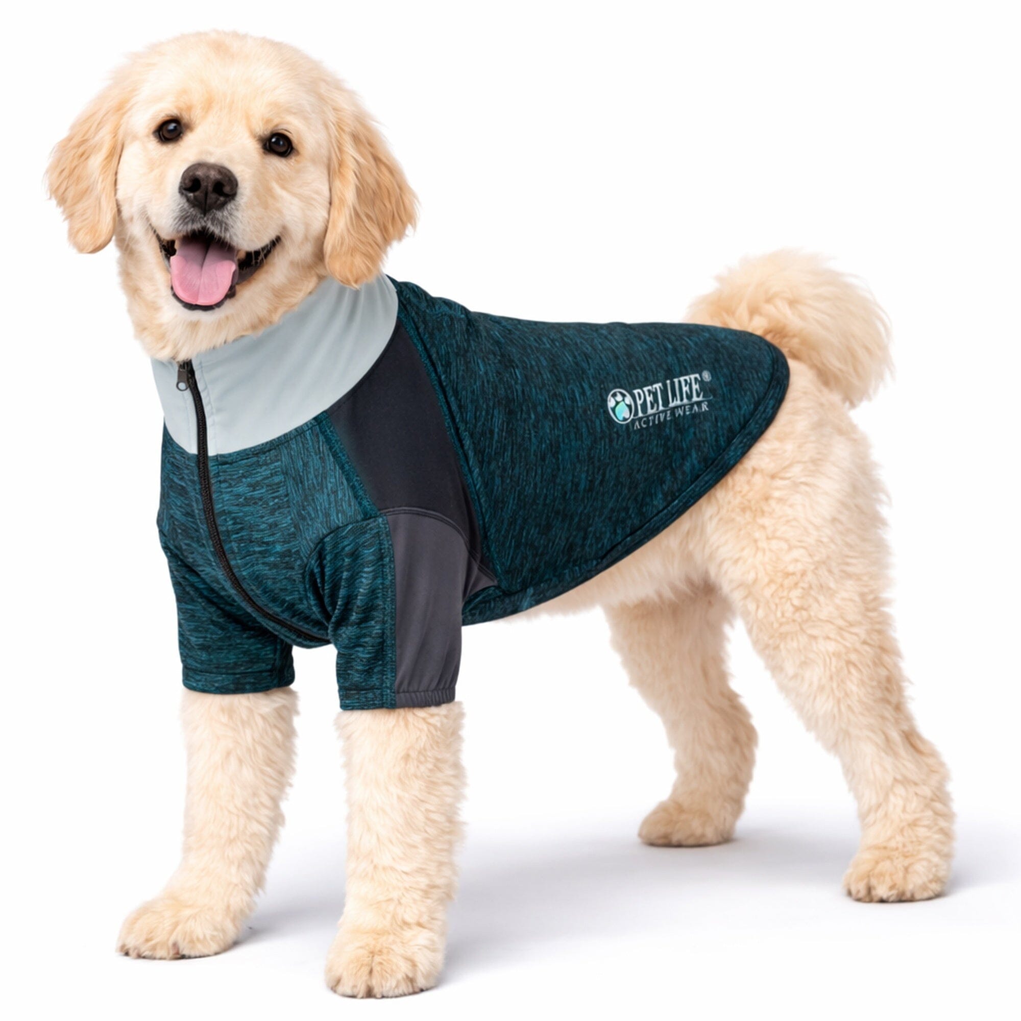 Pet Life ® Active 'Chewitt Wagassy' 4-Way-Stretch Yoga Fitness Long-Sleeve Dog T-Shirt X-Small Teal