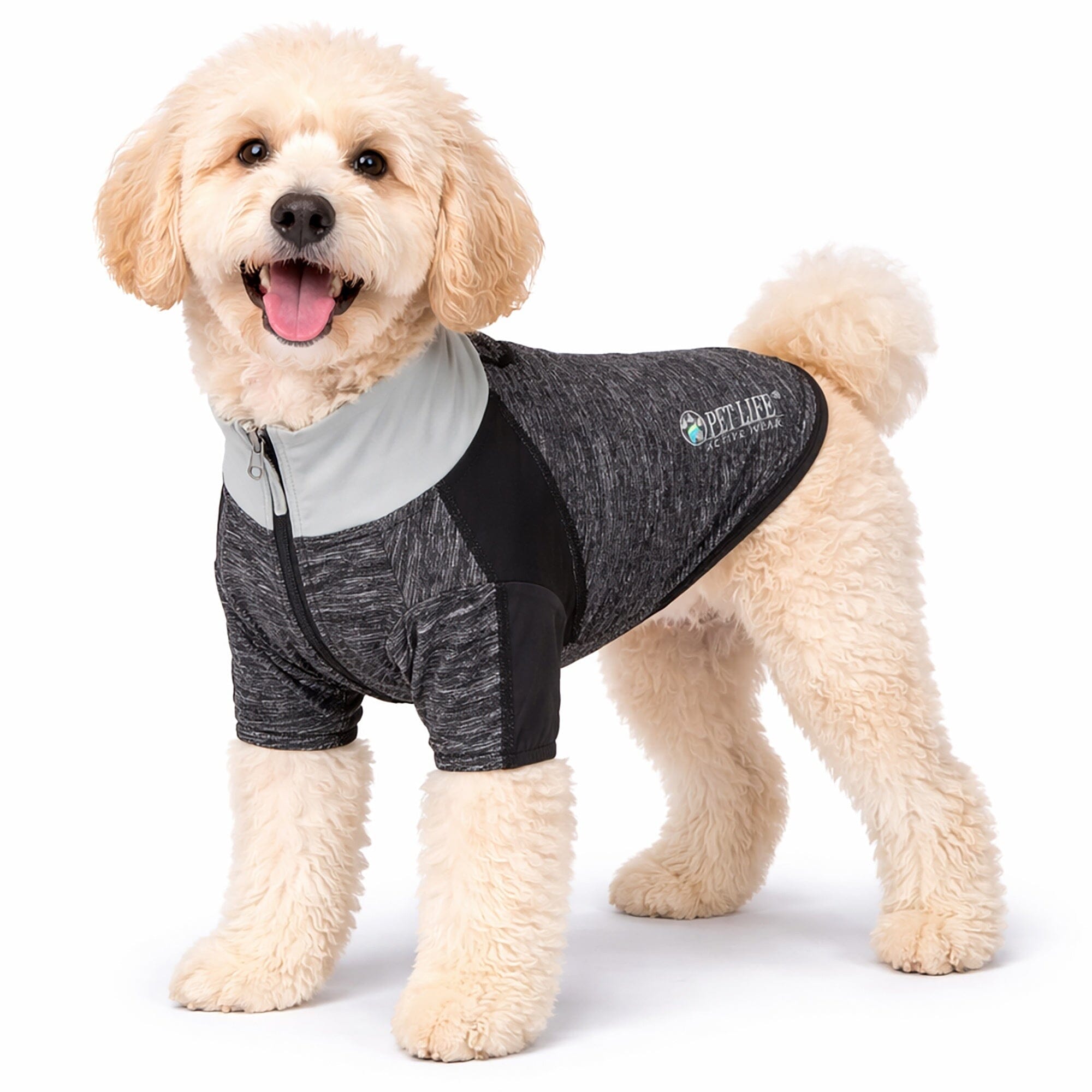 Pet Life ® Active 'Chewitt Wagassy' 4-Way-Stretch Yoga Fitness Long-Sleeve Dog T-Shirt X-Small Black