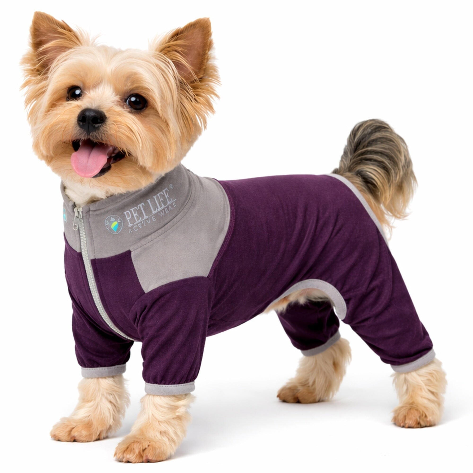 Pet Life ® Active 'Embarker' 4-Way Stretch Fitness Yoga Full Body Dog Tracksuit X-Small Burgundy