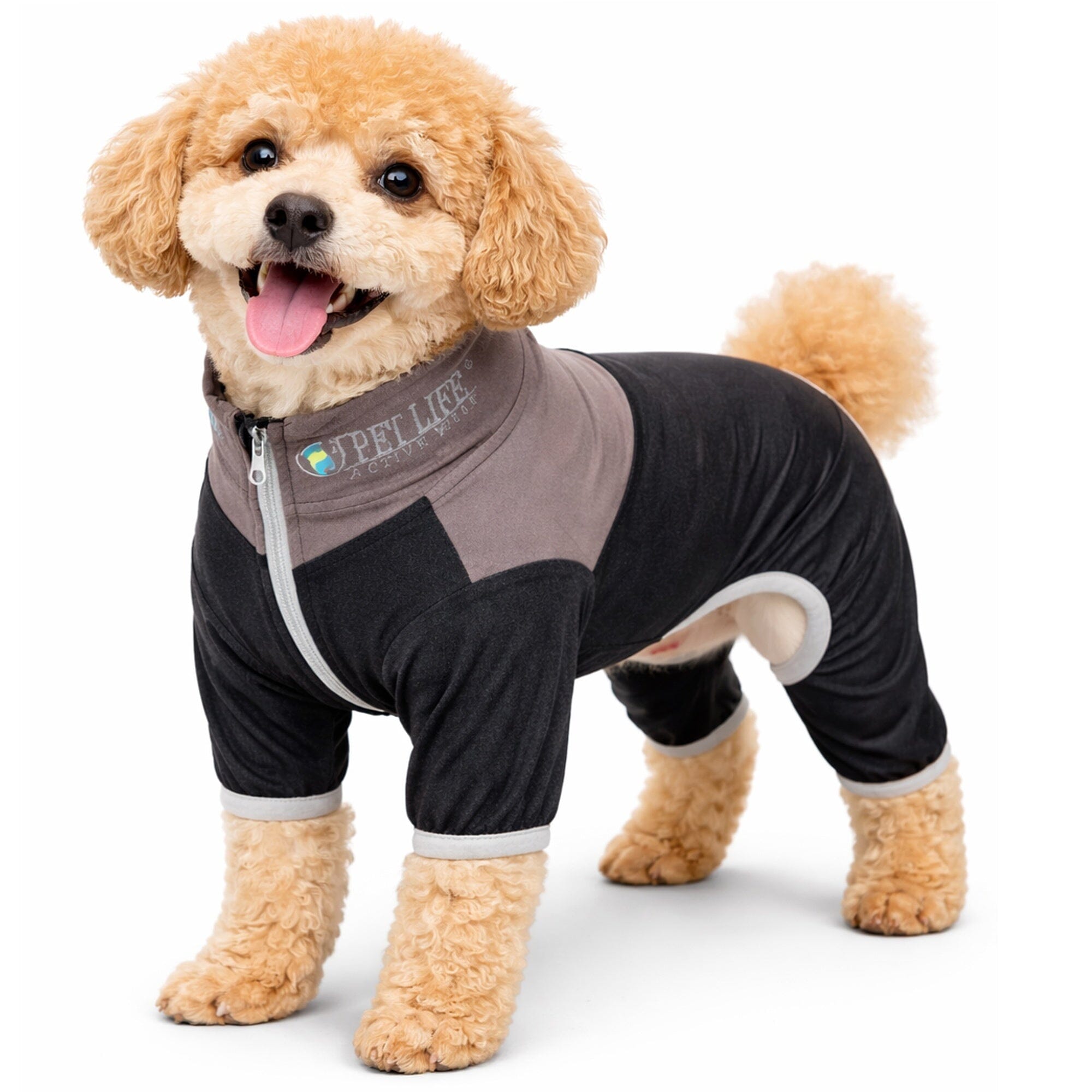 Pet Life ® Active 'Embarker' 4-Way Stretch Fitness Yoga Full Body Dog Tracksuit X-Small Black/Gray