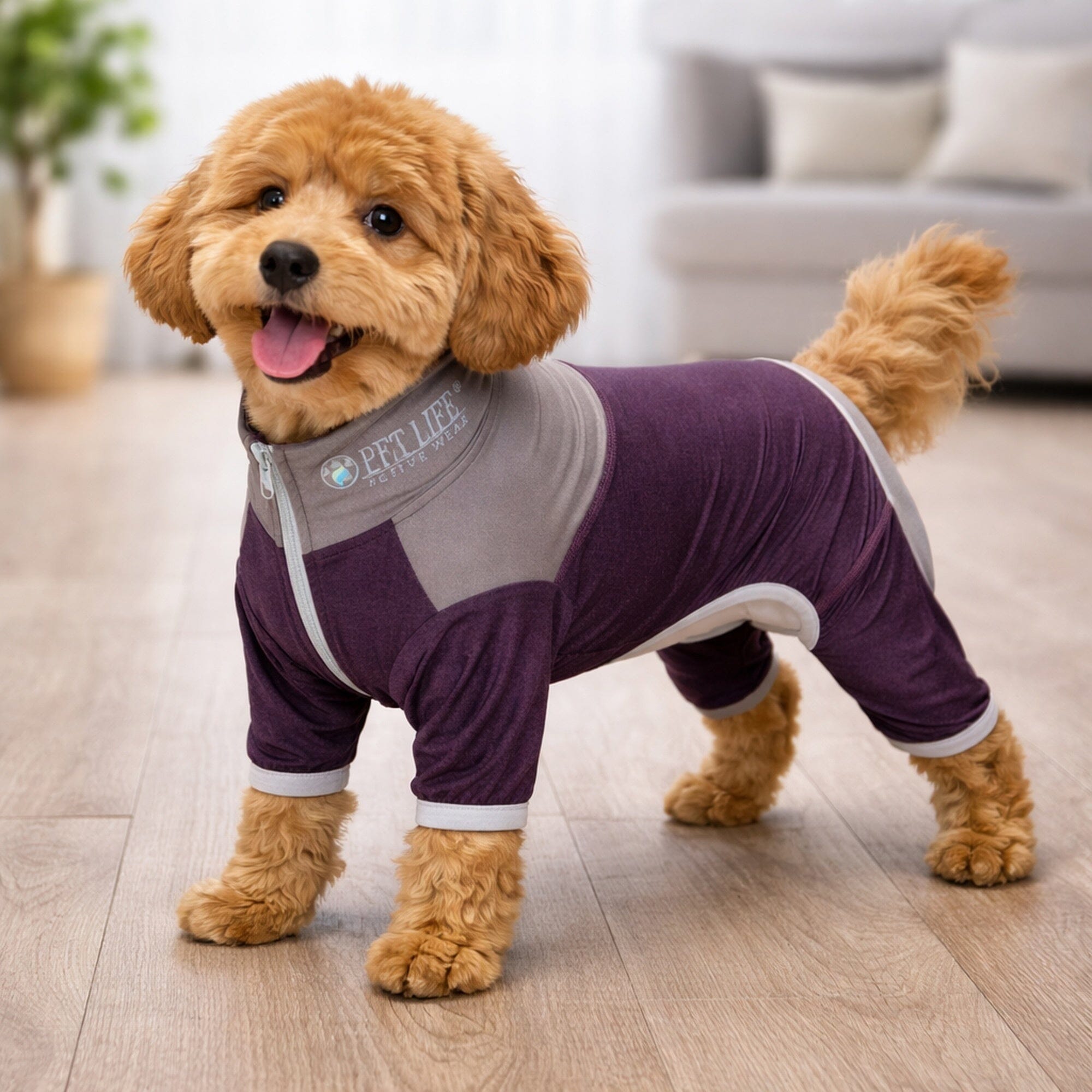 Pet Life ® Active 'Embarker' 4-Way Stretch Fitness Yoga Full Body Dog Tracksuit