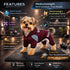 Pet Life ® Active 'Fur-Breeze' Medium-weight 4-Way-Stretch Full Body Hooded Dog Yoga sweater