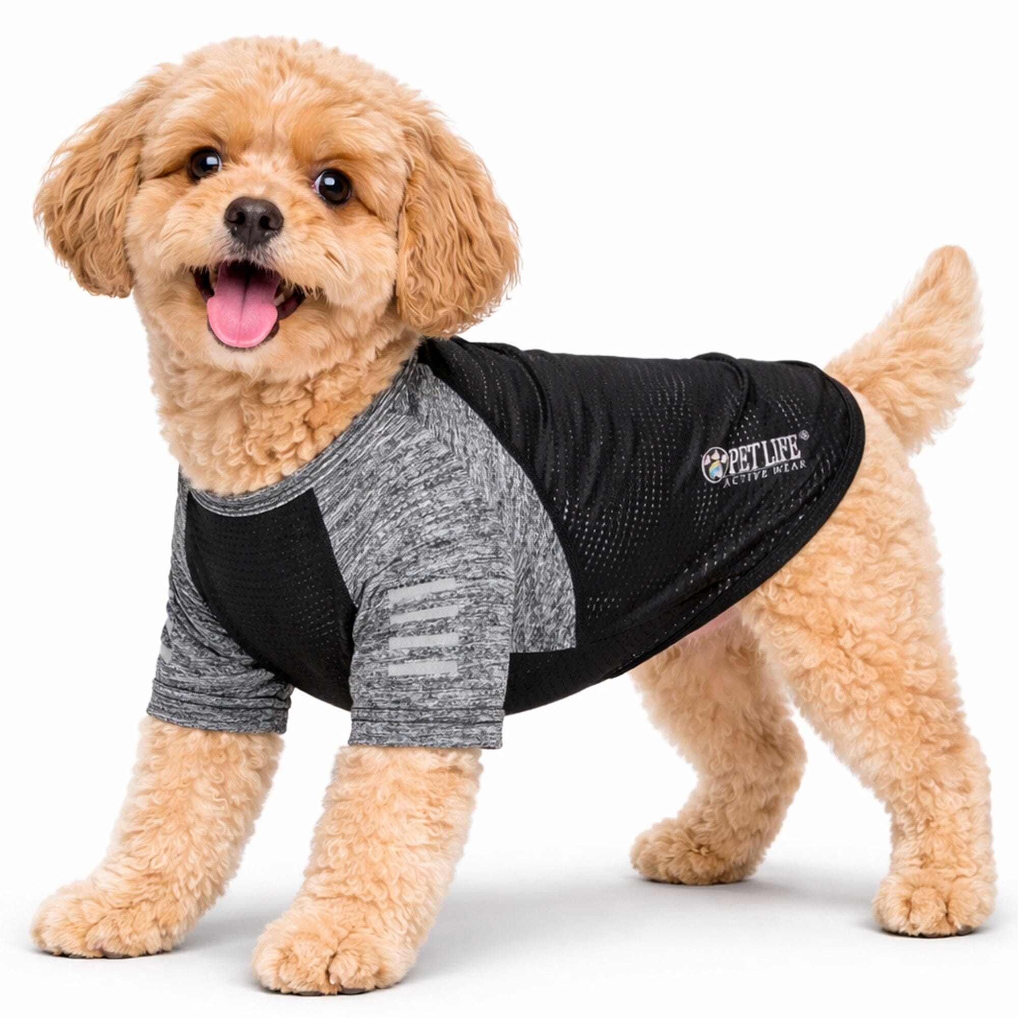 Pet Life ® Active 'Hybreed' 4-Way-Stretch Fitness Performance Dog T-Shirt X-Small Black/Gray