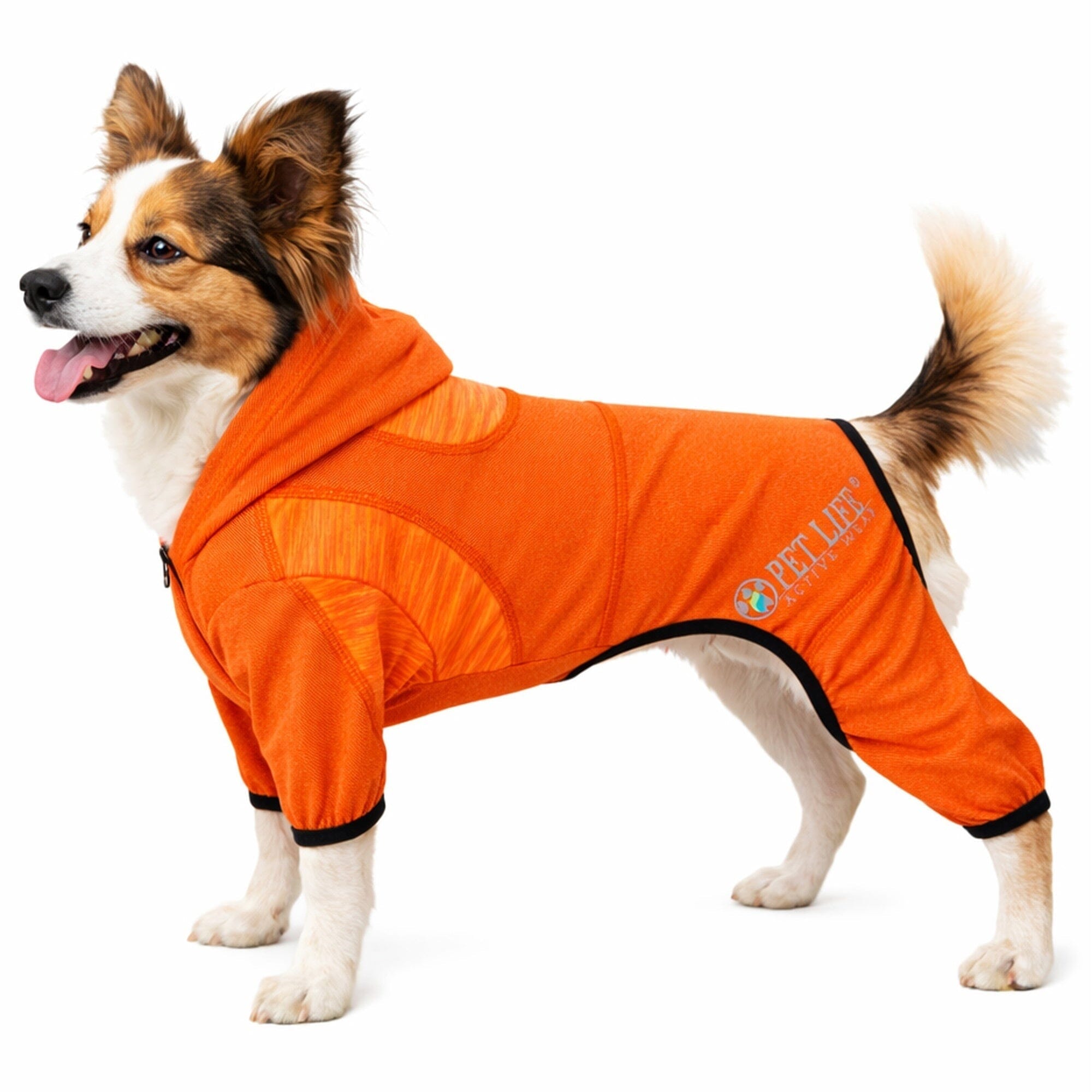 Pet Life ® Active 'Pawsterity' Mediumweight 4-Way-Stretch Yoga Fitness Dog Tracksuit Hoodie X-Small Orange