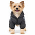 Pet Life ® Active 'Pawsterity' Mediumweight 4-Way-Stretch Yoga Fitness Dog Tracksuit Hoodie