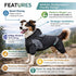 Pet Life ® Active 'Pawsterity' Mediumweight 4-Way-Stretch Yoga Fitness Dog Tracksuit Hoodie