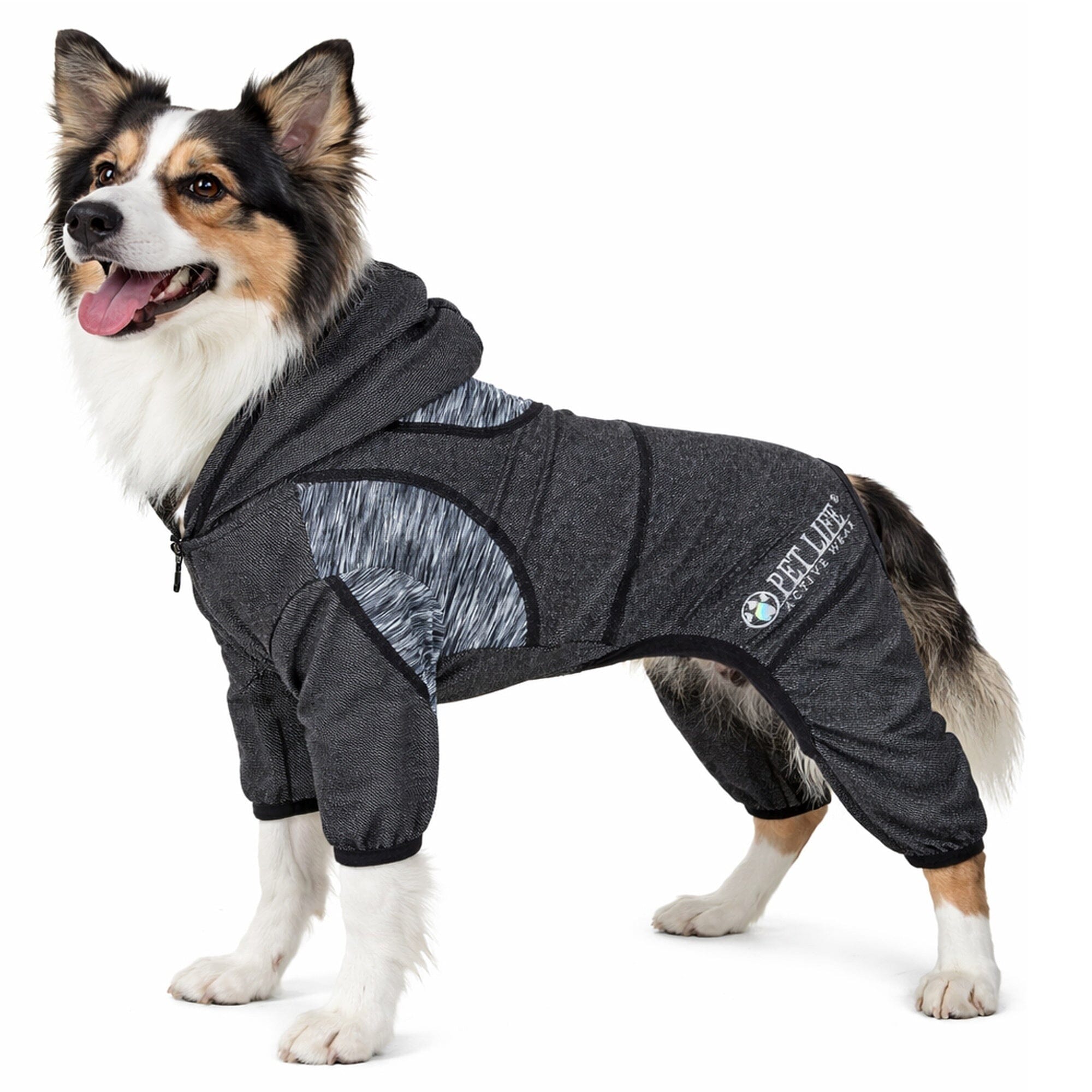 Pet Life ® Active 'Pawsterity' Mediumweight 4-Way-Stretch Yoga Fitness Dog Tracksuit Hoodie X-Small Black