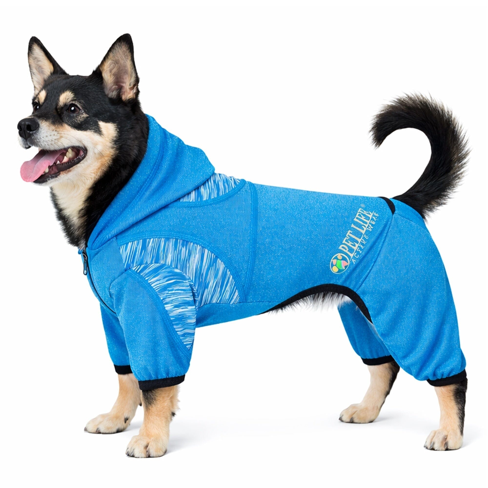 Pet Life ® Active 'Pawsterity' Mediumweight 4-Way-Stretch Yoga Fitness Dog Tracksuit Hoodie X-Small Blue