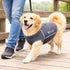 Pet Life ® Active 'Racerbark' 4-Way-Stretch Yoga Fitness Dog T-Shirt Tank Top
